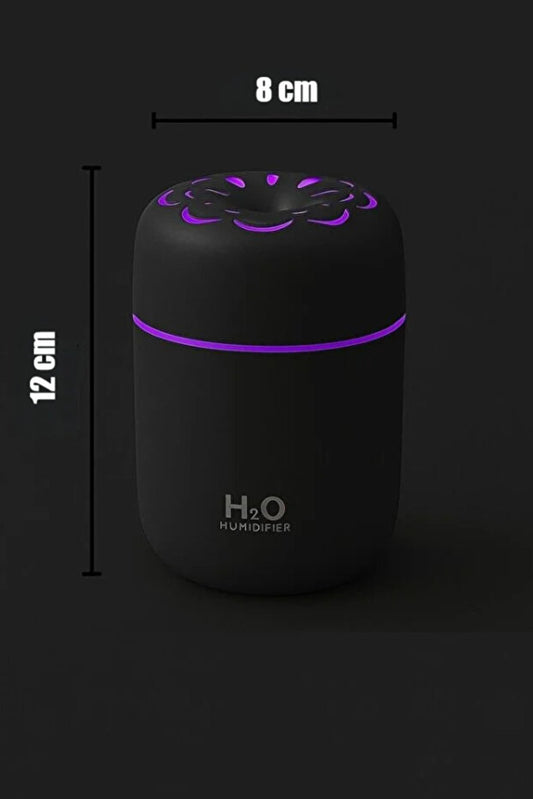Humidificateur d'air ultrasonique General Brands H2O 400 ml pour pièce et voiture, vaporisateur et diffuseur d'arômes.
