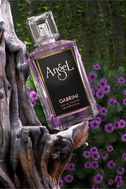 Gabrini Angel Edt 100 ml Parfum pour femme 600B5441740146014401335575080